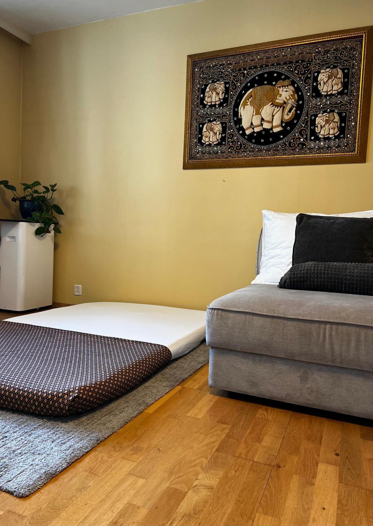 Luxury Service Apartment By Chanya Alesund Bagian luar foto